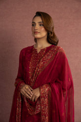 3 Piece Printed Chiffon Embroidered Suit (AS0481)